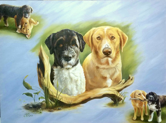 Izzy & Splash, 20" x 24"