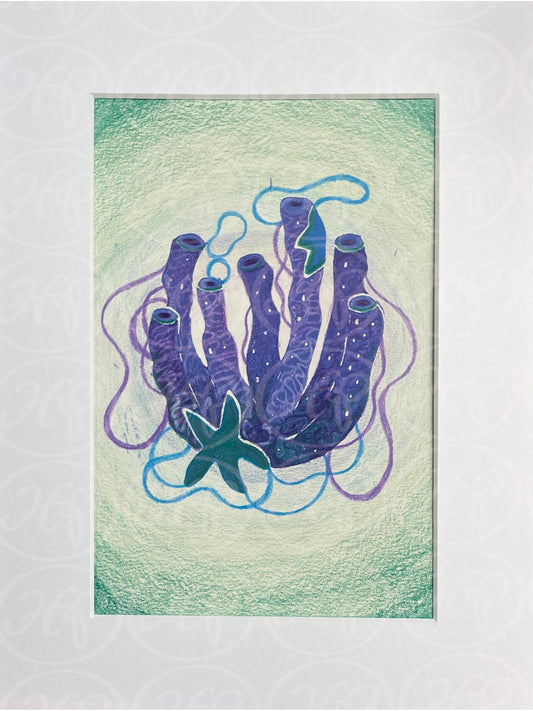 Green and Purple Sponge