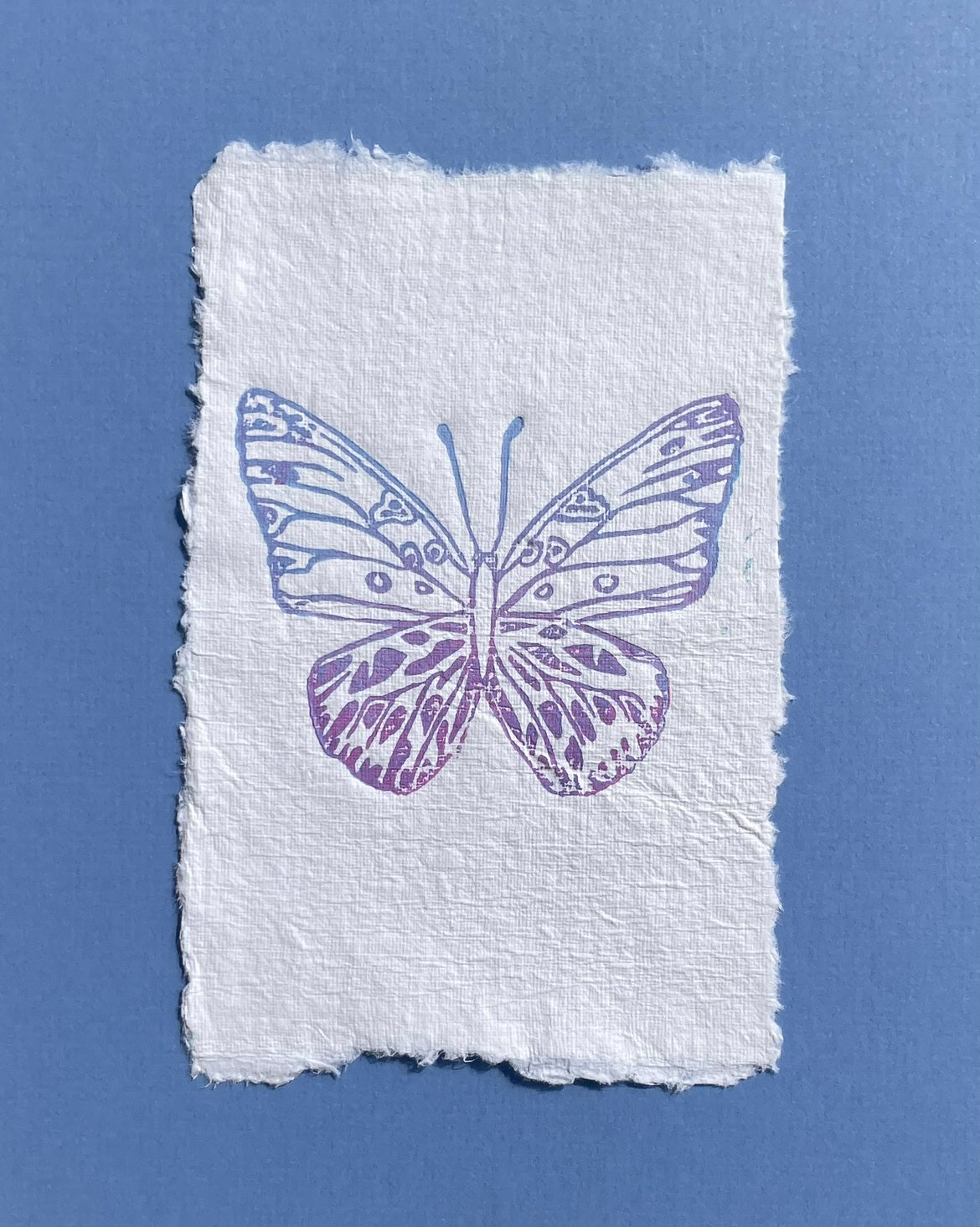 Butterfly Print on Deckled Edged Paper