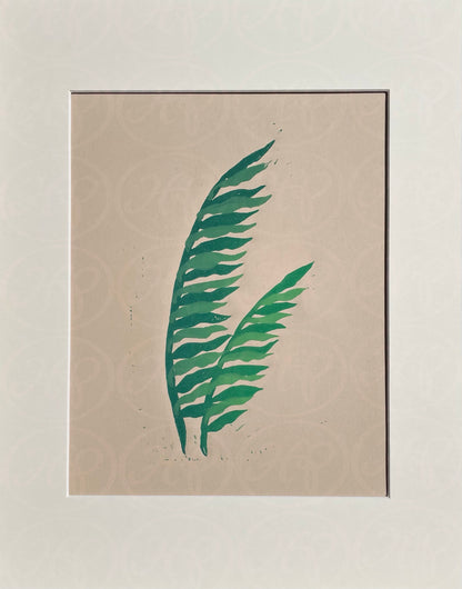 Kelp